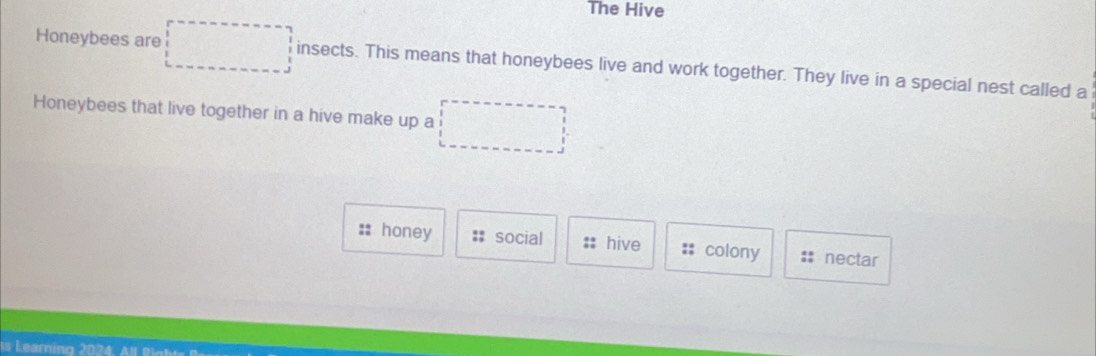 The Hive 
Honeybees are □ insects. This means that honeybees live and work together. They live in a special nest called a 
Honeybees that live together in a hive make up a □
honey social :: hive :: colony nectar