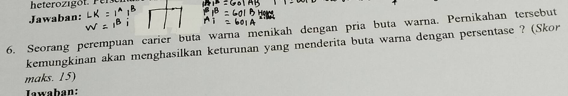 heterozigot. Per 
Jawaban: 
6. Seorang perempuan carier buta warna menikah dengan pria buta warna. Pernikahan tersebut 
kemungkinan akan menghasilkan keturunan yang menderita buta warna dengan persentase ? (Skor 
maks. 15) 
Iawaban: