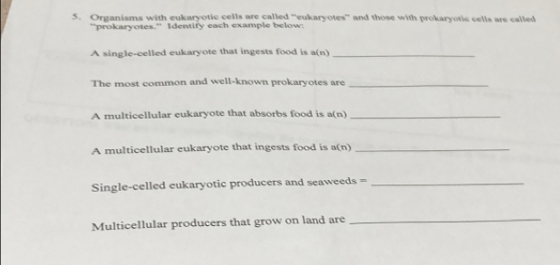 Organisms with eukaryotic cells are called “eukaryotes” and those with prokaryotic cells are called 
"prokaryotes." Identify each example below: 
A single-celled eukaryote that ingests food is a(n) _ 
The most common and well-known prokaryotes are_ 
A multicellular eukaryote that absorbs food is a (n) _ 
A multicellular eukaryote that ingests food is a(n)_ 
Single-celled eukaryotic producers and seaweeds =_ 
Multicellular producers that grow on land are_