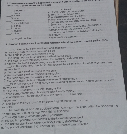 Connect the organs of the body listed in column A with its function in colum B. 
letter of the correct answer on the blank.
Çolumn 8
_1. brain Column A
B. absorbs nutrients from food A. absorbs water and electortytes
_
C. pumps blood around the body
_3. lung 2. heart
D. filters blood and produce urine
5, smail intestine 4. stomach
__7. bone 6. kidney E. gets O2 and remove CO2 from the blood
F. allows humans to move
G. contrals thoughts, memory and other organs
H. supports and protects other organs
__9. blood 8. muscle I. transports the nutrients and oxygen to the lungs
_10. large intestine J. temporarily stores foods and tissues
1l. Read and analyze each sentences. Write the letter of the correct answers on the blank.
_
11. How do the heart and lungs work together?
a. The lungs help the heart to pump blood.
b. The heart provides nutrients to the lungs.
c. The lungs help the heart provide nutrients to the body.
d. The heart pumps the blood to the different body parts while the
lungs filter the blood before going back to the heart.
_connected? 12. Stomach and the brain are related to each other, in what way are they
g. The stomach provides blood to the brain.
b. The stomach provides oxygen to the brain.
c. The brain removes the waste of the stomach.
d. The brain controls the involuntary muscles of the stomach.
_
13. When you are in danger, your muscles move as fast as you can to protect yourself.
How does this happen?
a. Your lungs control your muscles to move fast
b. Your stomach commands your muscles to work rapidly.
c. Your brain react to the situation which results to rapid muscle
movement.
d. Your heart tells you to react by controlling the movement of your
muscles.
14. Your friend had an accident which damaged his brain. After the accident, he
cannot move both of his legs. Why did this happen?
a. Your legs cannot anymore detect your brain.
b. The part of your legs connected to the brain was damaged.
c. The part of your brain commands your legs to stop moving,
d. The part of your brain that controls leg movement was affected.