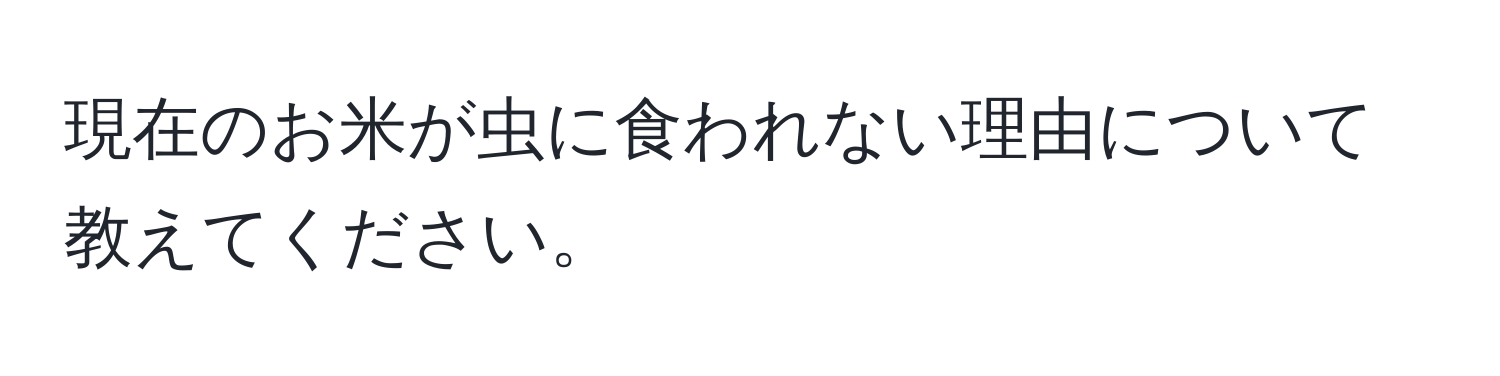 現在のお米が虫に食われない理由について教えてください。