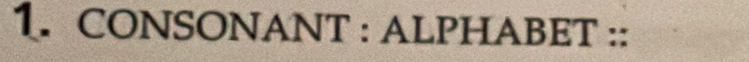 CONSONANT : ALPHABET ::