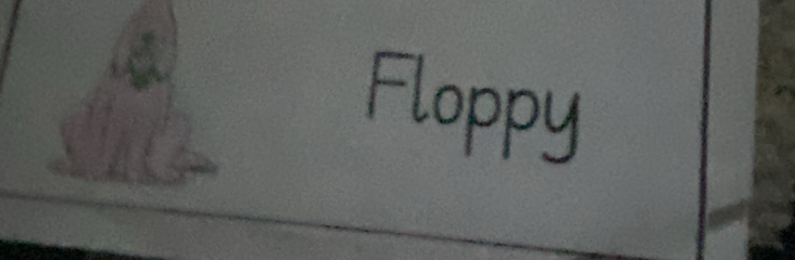 Floppy