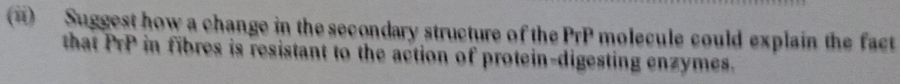 () Suggest how a change in the secondary structure of the PrP molecule could explain the fact 
that PrP in fibres is resistant to the action of protein-digesting enzymes.