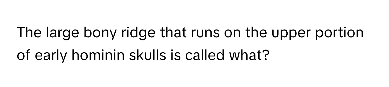 The large bony ridge that runs on the upper portion of early hominin skulls is called what?