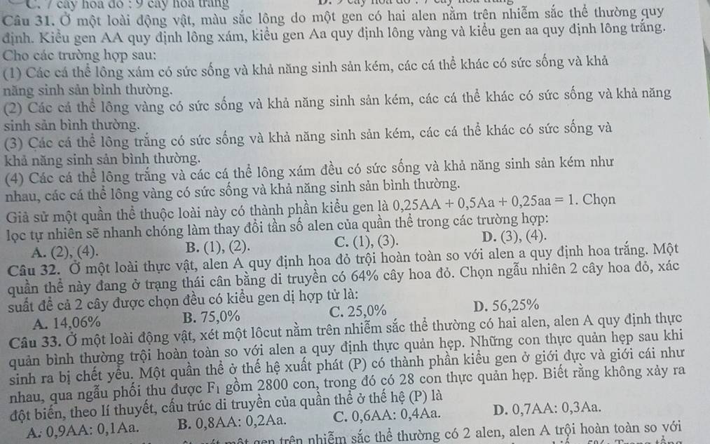 cây hoa do : 9 cay hoa trang
Câu 31. Ở một loài động vật, màu sắc lộng do một gen có hai alen nằm trên nhiễm sắc thể thường quy
định. Kiểu gen AA quy định lông xám, kiểu gen Aa quy định lông vàng và kiểu gen aa quy định lông trắng.
Cho các trường hợp sau:
(1) Các cá thể lông xám có sức sống và khả năng sinh sản kém, các cá thể khác có sức sống và khả
năng sinh sản bình thường.
(2) Các cá thể lông vàng có sức sống và khả năng sinh sản kém, các cá thể khác có sức sống và khả năng
sinh sản bình thường.
(3) Các cá thể lông trắng có sức sống và khả năng sinh sản kém, các cá thể khác có sức sống và
khả năng sinh sản bình thường.
(4) Các cá thể lông trắng và các cá thể lông xám đều có sức sống và khả năng sinh sản kém như
nhau, các cá thể lông vàng có sức sống và khả năng sinh sản bình thường.
Giả sử một quần thể thuộc loài này có thành phần kiểu gen là 0,25AA+0,5Aa+0,25aa=1. Chọn
lọc tự nhiên sẽ nhanh chóng làm thay đổi tần số alen của quần thể trong các trường hợp:
A. (2), (4). B. (1), (2). C. (1), (3). D. (3), (4).
Câu 32. Ở một loài thực vật, alen A quy định hoa đỏ trội hoàn toàn so với alen a quy định hoa trắng. Một
quần thể này đang ở trạng thái cân bằng di truyền có 64% cây hoa đỏ. Chọn ngẫu nhiên 2 cây hoa đỏ, xác
suất đề cả 2 cây được chọn đều có kiều gen dị hợp tử là:
A. 14,06% B. 75,0% C. 25,0% D. 56,25%
Câu 33. Ở một loài động vật, xét một lôcut nằm trên nhiễm sắc thể thường có hai alen, alen A quy định thực
quản bình thường trội hoàn toàn so với alen a quy định thực quản hẹp. Những con thực quản hẹp sau khi
sinh ra bị chết yểu. Một quần thể ở thế hệ xuất phát (P) có thành phần kiểu gen ở giới đực và giới cái như
nhau, qua ngẫu phối thu được F_1 gồm 2800 con, trong đó có 28 con thực quản hẹp. Biết rằng không xảy ra
đột biến, theo lí thuyết, cấu trúc di truyền của quần thể ở thế hệ (P) là
A. 0,9AA: 0,1Aa. B. 0,8AA: 0,2Aa. C. 0,6AA: 0,4Aa. D. 0,7AA: 0,3Aa.
m     trên nhiễm sắc thể thường có 2 alen, alen A trội hoàn toàn so với