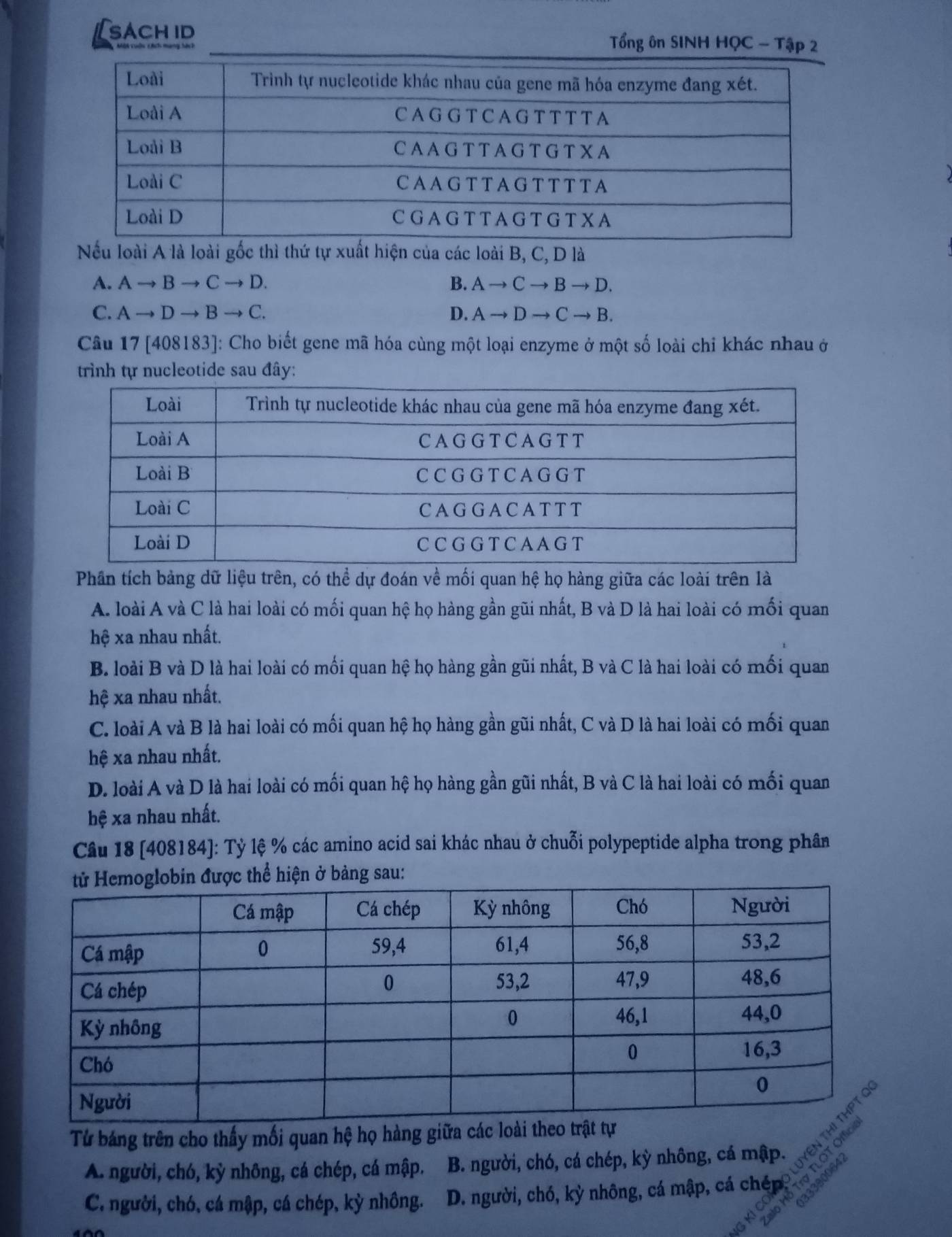 sách id Tổng ôn SINH HQC - Tập 2
Nếu loài A là loài gốc thì thứ tự xuất hiện của các loài B, C, D là
A. Ato Bto Cto D. B. Ato Cto Bto D.
C. Ato Dto Bto C. D. Ato Dto Cto B. 
Câu 17 [408183]: Cho biết gene mã hóa cùng một loại enzyme ở một số loài chi khác nhau ở
trình tự nucleotide sau đây:
Phân tích bảng dữ liệu trên, có thể dự đoán về mối quan hệ họ hàng giữa các loài trên là
A. loài A và C là hai loài có mối quan hệ họ hàng gần gũi nhất, B và D là hai loài có mối quan
hệ xa nhau nhất.
B loài B và D là hai loài có mối quan hệ họ hàng gần gũi nhất, B và C là hai loài có mối quan
hệ xa nhau nhất.
C. loài A và B là hai loài có mối quan hệ họ hàng gần gũi nhất, C và D là hai loài có mối quan
hệ xa nhau nhất.
D. loài A và D là hai loài có mối quan hệ họ hàng gần gũi nhất, B và C là hai loài có mối quan
hệ xa nhau nhất.
Câu 18 [408184]: Tỷ lệ % các amino acid sai khác nhau ở chuỗi polypeptide alpha trong phân
thể hiện ở bảng sau:
Từ báng trên cho thấy mối quan hệ họ hàng giữa
A. người, chó, kỳ nhông, cá chép, cá mập. B. người, chó, cá chép, kỳ nhông, cá mập. z5 ×
C. người, chó, cá mập, cá chép, kỳ nhông. a D. người, chó, kỳ nhông, cá mập, cá chép. 390084
x