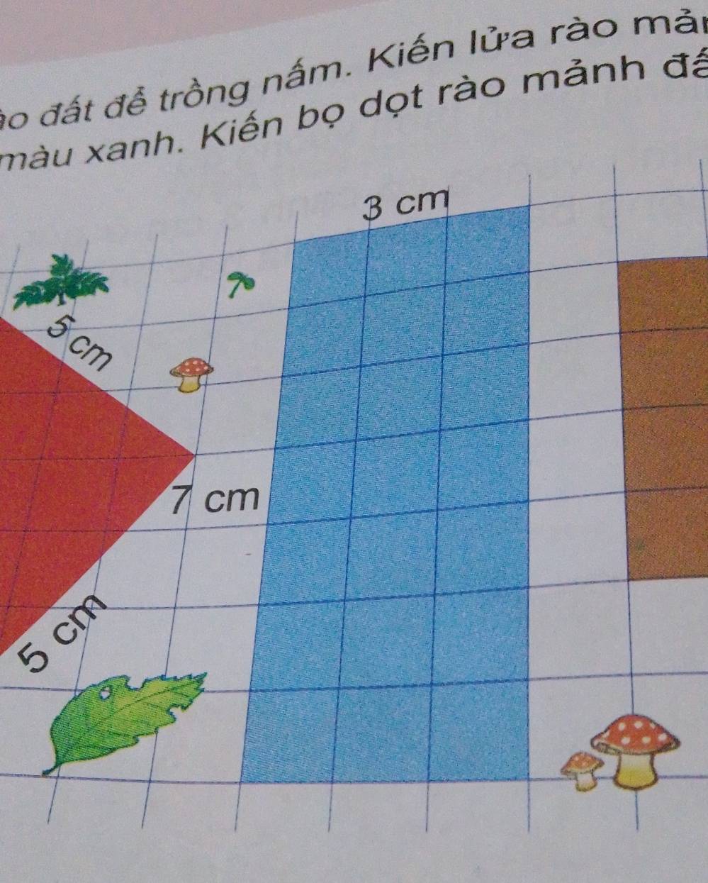 no đất đễ trồng nấm. Kiến lửa rào mải 
màu xanh. Kiến bọ dọt rào mảnh đá
3 cm
5 cm
7 cm
5 cm