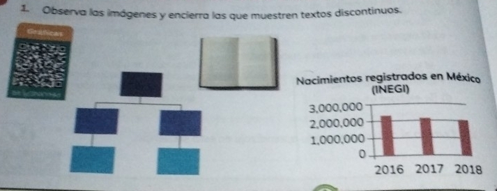 Observa las imágenes y encierra las que muestren textos discontinuos. 
Graficas