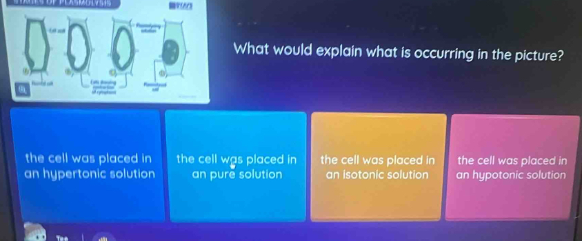 What would explain what is occurring in the picture?
the cell was placed in the cell was placed in the cell was placed in the cell was placed in
an hypertonic solution an pure solution an isotonic solution an hypotonic solution
The