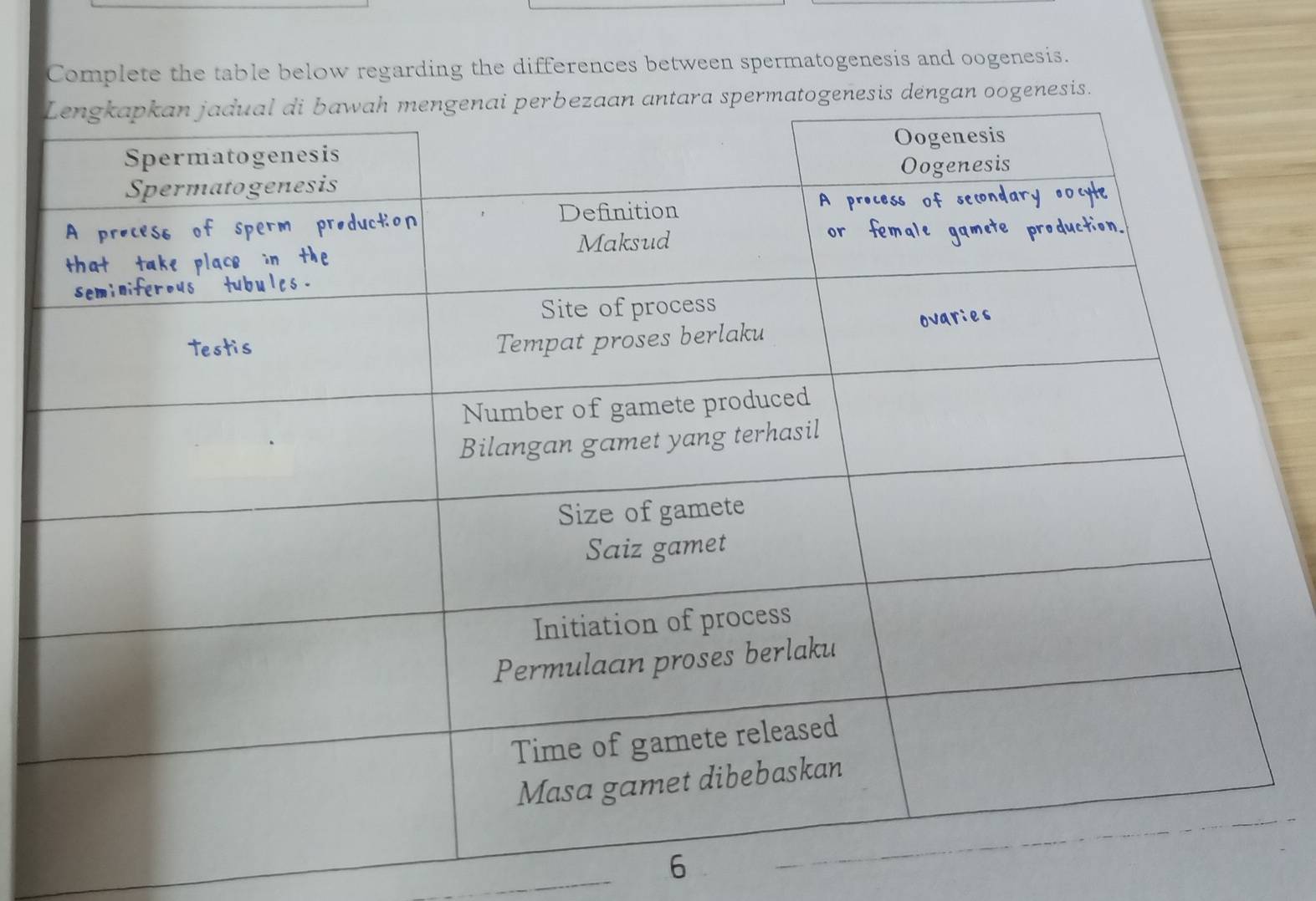 Complete the table below regarding the differences between spermatogenesis and oogenesis. 
6