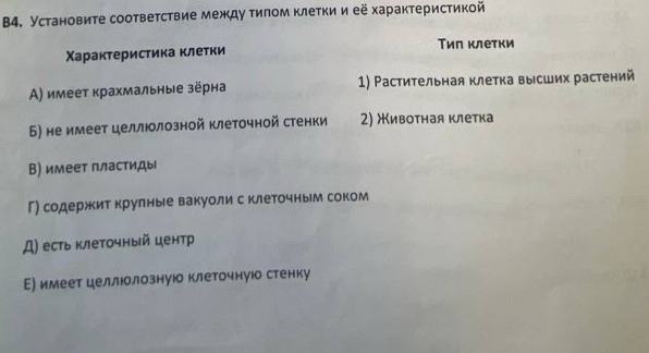 β4. Установите соответствие между τилом клетки и её характеристикой
Χараκτеристика κлеτки Тиπ κлетки
Α) имеет крахмальные зёрна 1) Ρастительная клетка высших растений
Б) не имеет целлюлозной клеточной стенки 2) Мивотная клетка
В) имеет пластиды
Г) содержеит крулные вакуоли с клеточным соком
Д) есть клеточный центр
Е) имеет целлюолознуюо клеточнуюо стенку