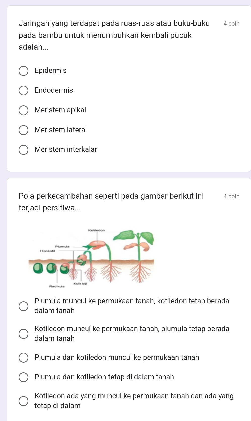 Jaringan yang terdapat pada ruas-ruas atau buku-buku 4 poin
pada bambu untuk menumbuhkan kembali pucuk
adalah...
Epidermis
Endodermis
Meristem apikal
Meristem lateral
Meristem interkalar
Pola perkecambahan seperti pada gambar berikut ini 4 poin
terjadi persitiwa...
Plumula muncul ke permukaan tanah, kotiledon tetap berada
dalam tanah
Kotiledon muncul ke permukaan tanah, plumula tetap berada
dalam tanah
Plumula dan kotiledon muncul ke permukaan tanah
Plumula dan kotiledon tetap di dalam tanah
Kotiledon ada yang muncul ke permukaan tanah dan ada yang
tetap di dalam