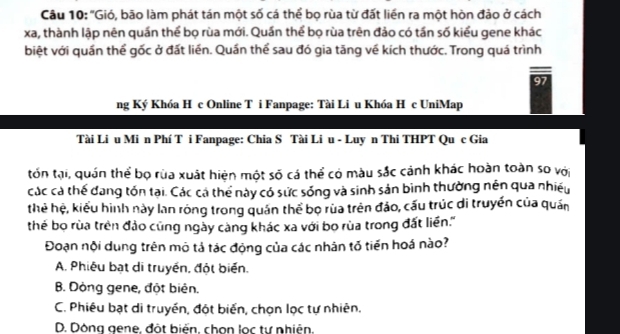 'Gió, bão làm phát tán một số cá thể bọ rùa từ đất liền ra một hòn đảo ở cách
xa, thành lập nên quần thể bọ rùa mới. Quần thể bọ rùa trên đảo có tần số kiểu gene khác
biệt với quần thể gốc ở đất liền. Quần thể sau đó gia tăng về kích thước. Trong quá trình
97
ng Ký Khóa H c Online T i Fanpage: Tài Li u Khóa H c UniMap
Tài Li u Mi n Phí T i Fanpage: Chia S Tài Li u - Luy n Thi THPT Qu c Gia
tốn tại, quán thể bọ rùa xuất hiện một số cá thể có màu sắc cảnh khác hoàn toàn so với
các cá thế đang tón tại. Các cá thể này có sức sống và sinh sản bình thường nên qua nhiều
thẻ hệ, kiểu hình này lan róng trong quán thể bọ rùa trên đảo, cấu trúc di truyền của quán
thé bọ rùa trên đảo cũng ngày càng khác xa với bọ rùa trong đất liền.''
Đoạn nội dung trên mô tả tác động của các nhân tố tiến hoá nào?
A. Phiêu bạt di truyền, đột biển.
B. Dòng gene, đột biên.
C. Phiêu bạt di truyền, đột biến, chọn lọc tự nhiên.
D. Dòng gene, đột biển, chọn lọc tự nhiên.