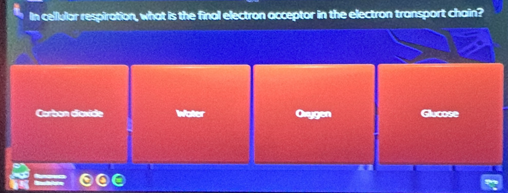 In cellular respiration, what is the final electron acceptor in the electron transport chain?
Carbon dioxide Glucose