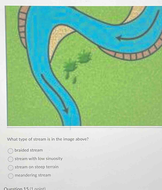 What type of stream is in the image above?
braided stream
stream with low sinuosity
stream on steep terrain
meandering stream
Question 15 (1 point)