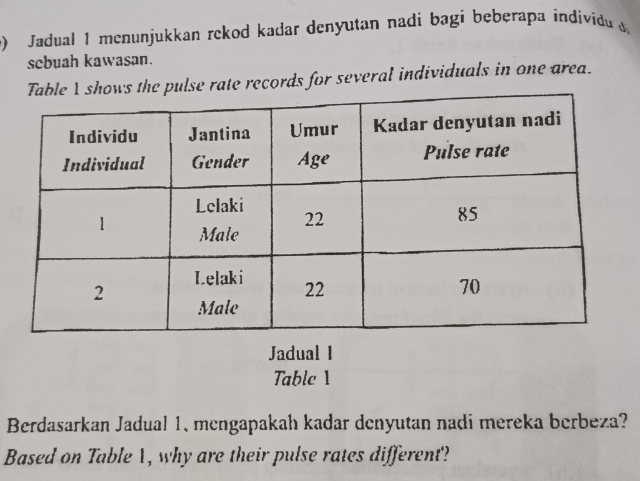 ) Jadual 1 mcnunjukkan rckod kadar denyutan nadi bagi beberapa individu 
sebuah kawasan. 
pulse rate records for several individuals in one area. 
Jadual I 
Table 1 
Berdasarkan Jadual 1, mengapakah kadar denyutan nadi mereka berbeza? 
Based on Table 1, why are their pulse rates different?