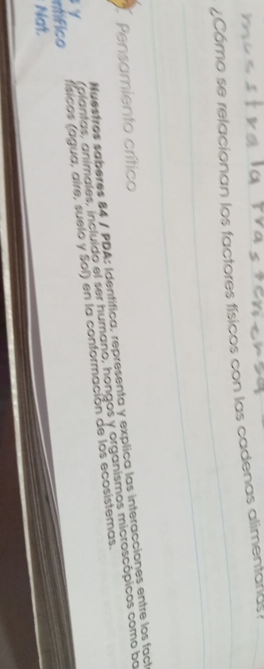 Cómo se relacionan los factores físicos con las cadenas alimentarias 
Pensamiento crítico 
Nuestros saberes 84 / PDA: Identífica, representa y explica las interacciones entre los fact 
(plantas, animales, incluido el ser humano, hongos y organismos microscópicos como ba 
mífico físicos (agua, aire, suelo y Sol) en la conformación de los ecosistemas. 
y 
Nat.