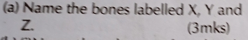 Name the bones labelled X, Y and
Z. (3mks)