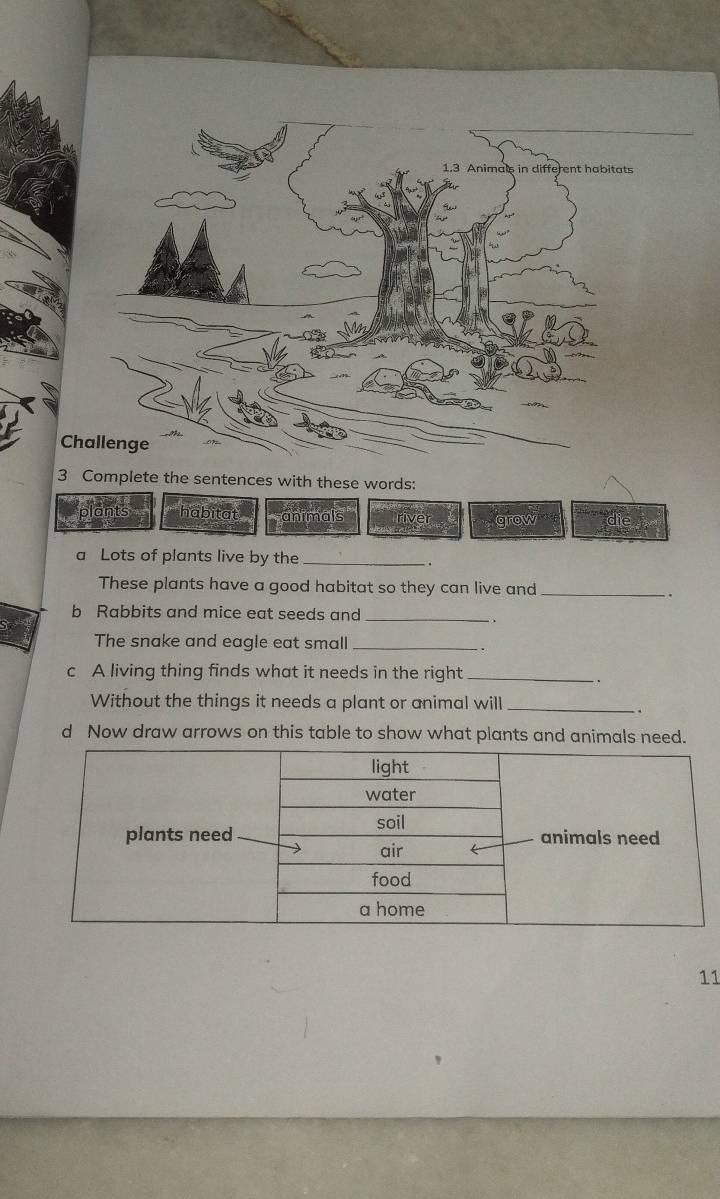 Complete the sentences with these words: 
habitat animals grow 
a Lots of plants live by the _. 
These plants have a good habitat so they can live and_ 
. 
b Rabbits and mice eat seeds and_ 
. 
The snake and eagle eat small_ 
c A living thing finds what it needs in the right_ 
. . 
Without the things it needs a plant or animal will_ 
d Now draw arrows on this table to show what plants and animals need. 
11