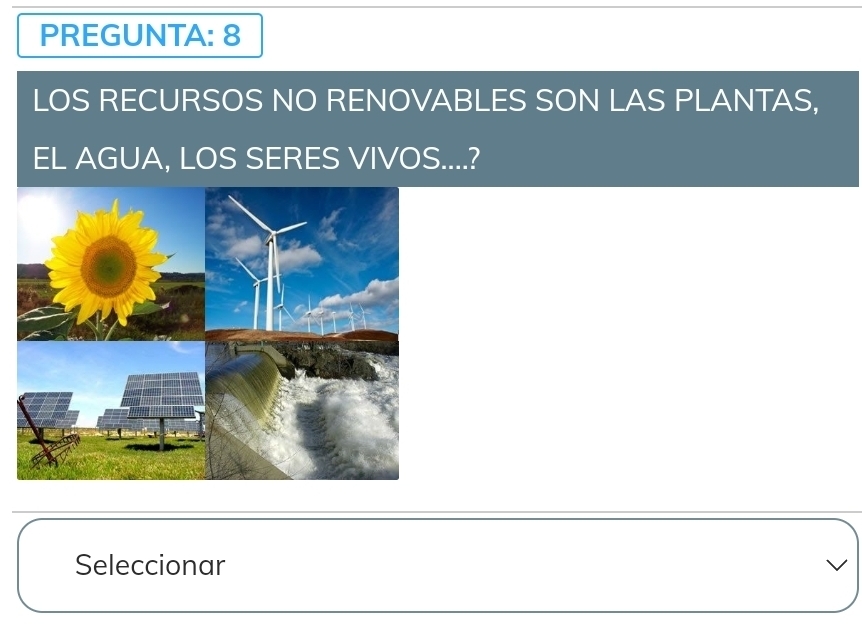 PREGUNTA: 8 
LOS RECURSOS NO RENOVABLES SON LAS PLANTAS, 
EL AGUA, LOS SERES VIVOS....? 
Seleccionar