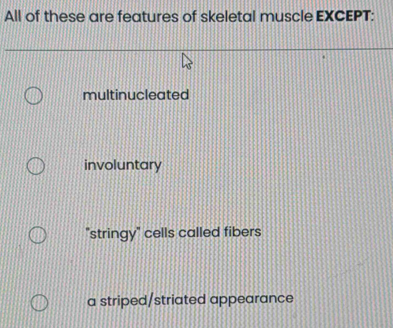 All of these are features of skeletal muscle EXCEPT:
multinucleated
involuntary
"stringy" cells called fibers
a striped/striated appearance