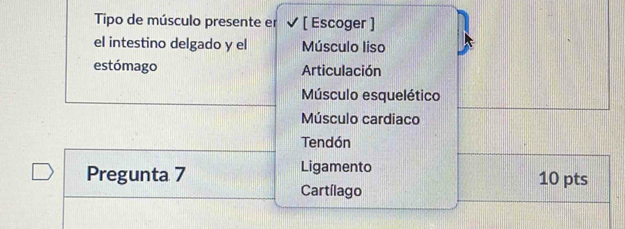 Tipo de músculo presente er [ Escoger ]
el intestino delgado y el Músculo liso
estómago Articulación
Músculo esquelético
Músculo cardiaco
Tendón
Ligamento
Pregunta 7 10 pts
Cartílago