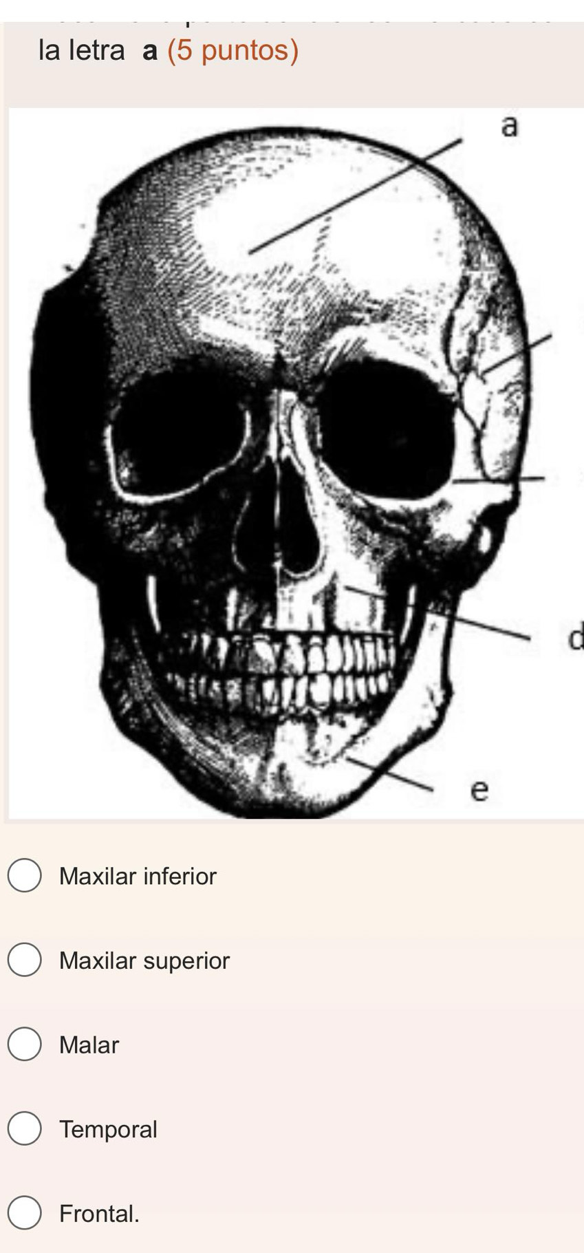 la letra a (5 puntos)
d
Maxilar inferior
Maxilar superior
Malar
Temporal
Frontal.