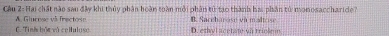 Cầu 2: Hai chất nào sau đây khi thủy phân hoàn toàn mỗi phân tử tạo thành ha, phân tử monosaccharide
A. Giurese và frectose Saccharase và malto
C. Tinh bột và cellulose D. ethyl acetate va trinle
