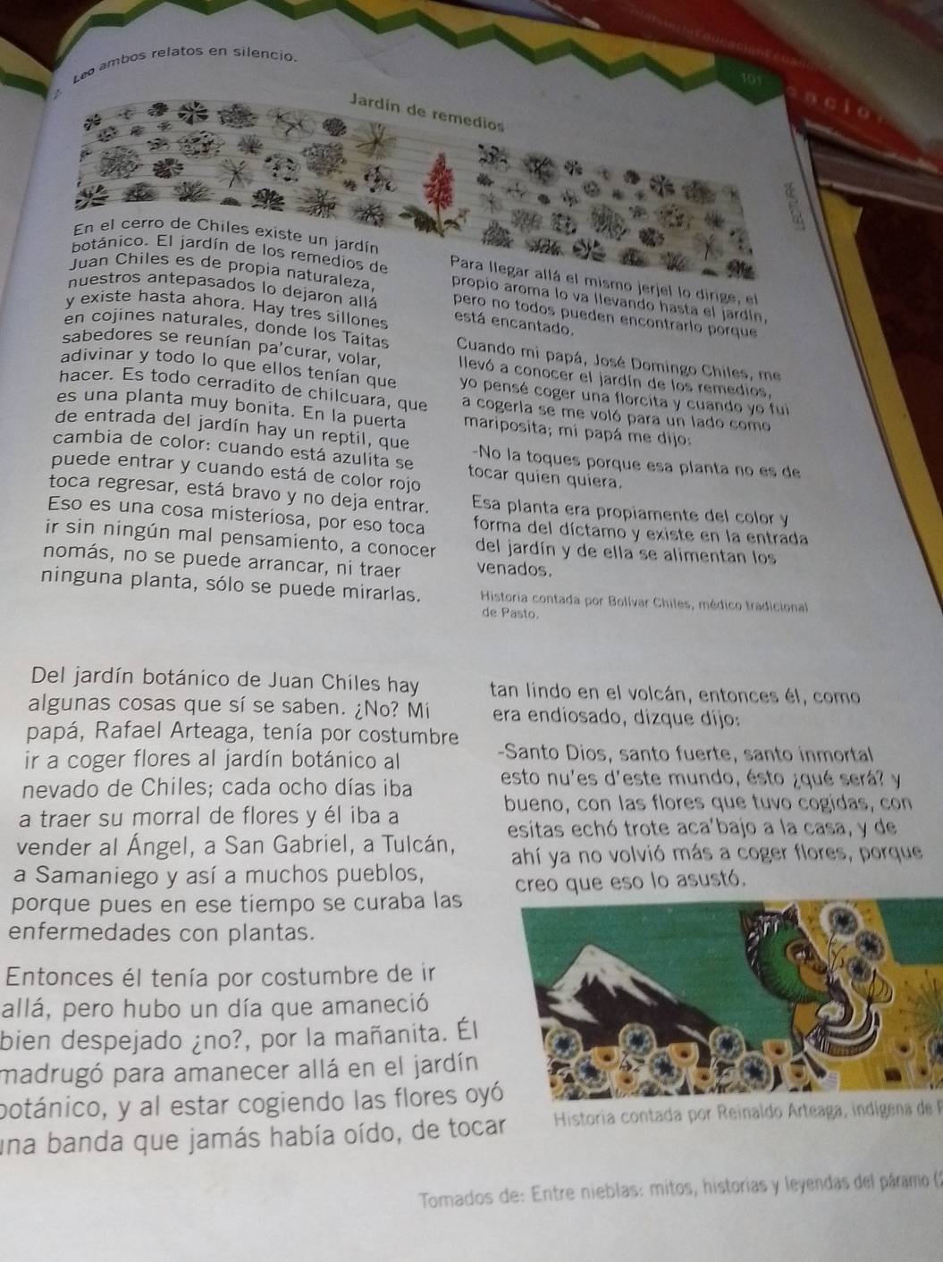 Leo ambos relatos en silencio.
Jardín de remedios
En el cerro de Chiles existe un jardín
botánico. El jardín de los remedios de Para llegar allá el mismo jerjel lo dirige, el
Juan Chiles es de propia naturaleza, propio aroma lo va llevando hasta el jardín,
nuestros antepasados lo dejaron allá pero no todos pueden encontrario porque
y existe hasta ahora. Hay tres sillones
está encantado.
en cojines naturales, donde los Taitas Cuando mi papá, José Domingo Chiles, me
sabedores se reunían pa'curar, volar, llevó a conocer el jardín de los remedios,
adivinar y todo lo que ellos tenían que yo pensé coger una florcita y cuando yo fui
hacer. Es todo cerradito de chilcuara, que a cogerla se me voló para un lado como
es una planta muy bonita. En la puerta mariposita; mi papá me dijo:
de entrada del jardín hay un reptil, que -No la toques porque esa planta no es de
cambia de color: cuando está azulita se tocar quien quiera.
puede entrar y cuando está de color rojo
toca regresar, está bravo y no deja entrar. Esa planta era propiamente del color y
Eso es una cosa misteriosa, por eso toca forma del díctamo y existe en la entrada
ir sin ningún mal pensamiento, a conocer del jardín y de ella se alimentan los
nomás, no se puede arrancar, ni traer venados.
ninguna planta, sólo se puede mirarlas.  Historia contada por Bollvar Chiles, médico tradicional
de Pasto.
Del jardín botánico de Juan Chiles hay tan lindo en el volcán, entonces él, como
algunas cosas que sí se saben. ¿No? Mí era endiosado, dizque díjo:
papá, Rafael Arteaga, tenía por costumbre
ir a coger flores al jardín botánico al
-Santo Díos, santo fuerte, santo inmortal
nevado de Chiles; cada ocho días iba esto nu'es d'este mundo, ésto ¿qué será? y
bueno, con las flores que tuvo cogidas, con
a traer su morral de flores y él iba a
esitas echó trote aca'bajo a la casa, y de
vender al Ángel, a San Gabriel, a Tulcán, ahí ya no volvió más a coger flores, porque
a Samaniego y así a muchos pueblos,
porque pues en ese tiempo se curaba las creo que eso lo asustó.
enfermedades con plantas.
Entonces él tenía por costumbre de ir
allá, pero hubo un día que amaneció
bien despejado ¿no?, por la mañanita. Él
madrugó para amanecer allá en el jardín
potánico, y al estar cogiendo las flores oyó
una banda que jamás había oído, de tocar  Historia contada por Reinaldo Arteaga, indige a de 
Tomados de: Entre nieblas: mitos, historias y leyendas del páramo (2