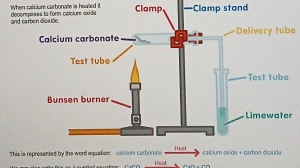 When calicium carbonate is hearled it Clam —Clamp stand 
and cdecom 
e 
r 
This is represented by t 
Heat