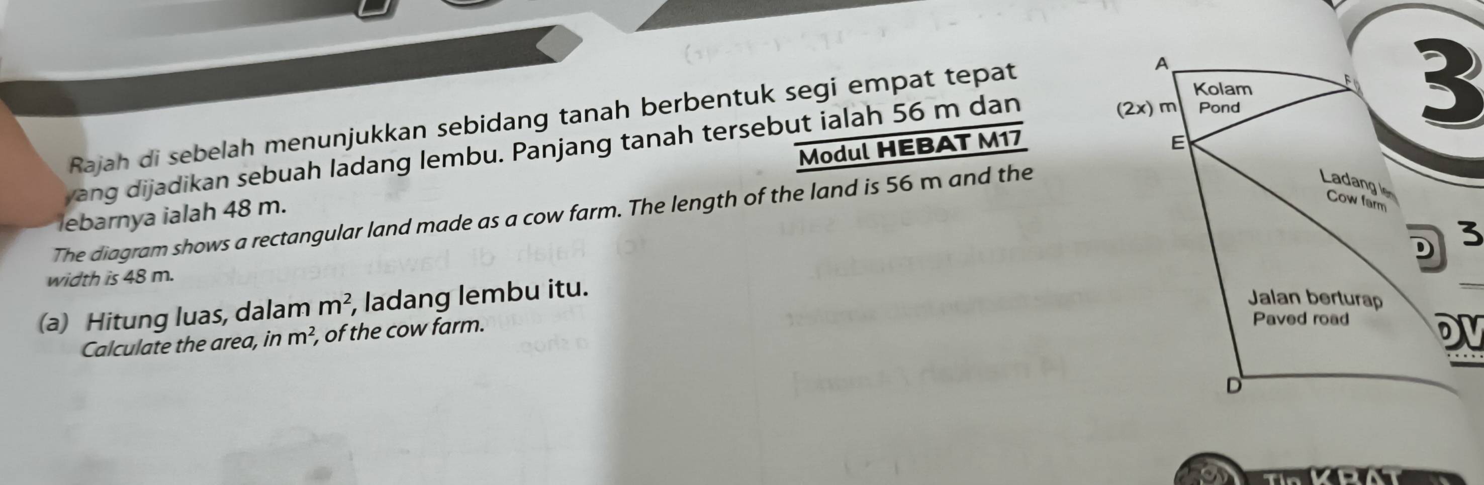 Rajah di sebelah menunjukkan sebidang tanah berbentuk segi empat tepat 
A 
Kolam 
3 
Modul HEBAT M17 
yang dijadikan sebuah ladang lembu. Panjang tanah tersebut ialah 56 m dan
(2x) m Pond 
E Ladang l 
lebarnya ialah 48 m. 
Cow farm 
The diagram shows a rectangular land made as a cow farm. The length of the land is 56 m and the 
3 
D 
width is 48 m. 
(a) Hitung luas, dalam m^2 , ladang lembu itu. 
Jalan berturap 
Calculate the area, inm^2, , of the cow farm. 
Paved road 
D