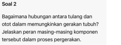 Soal 2 
Bagaimana hubungan antara tulang dan 
otot dalam memungkinkan gerakan tubuh? 
Jelaskan peran masing-masing komponen 
tersebut dalam proses pergerakan.