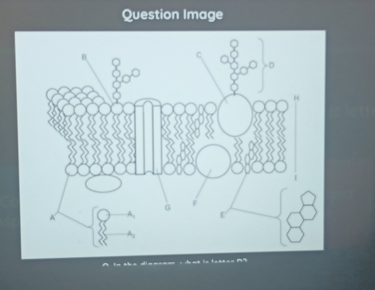 Question Image
di e a  a m : d a é le le é é e e  1 9