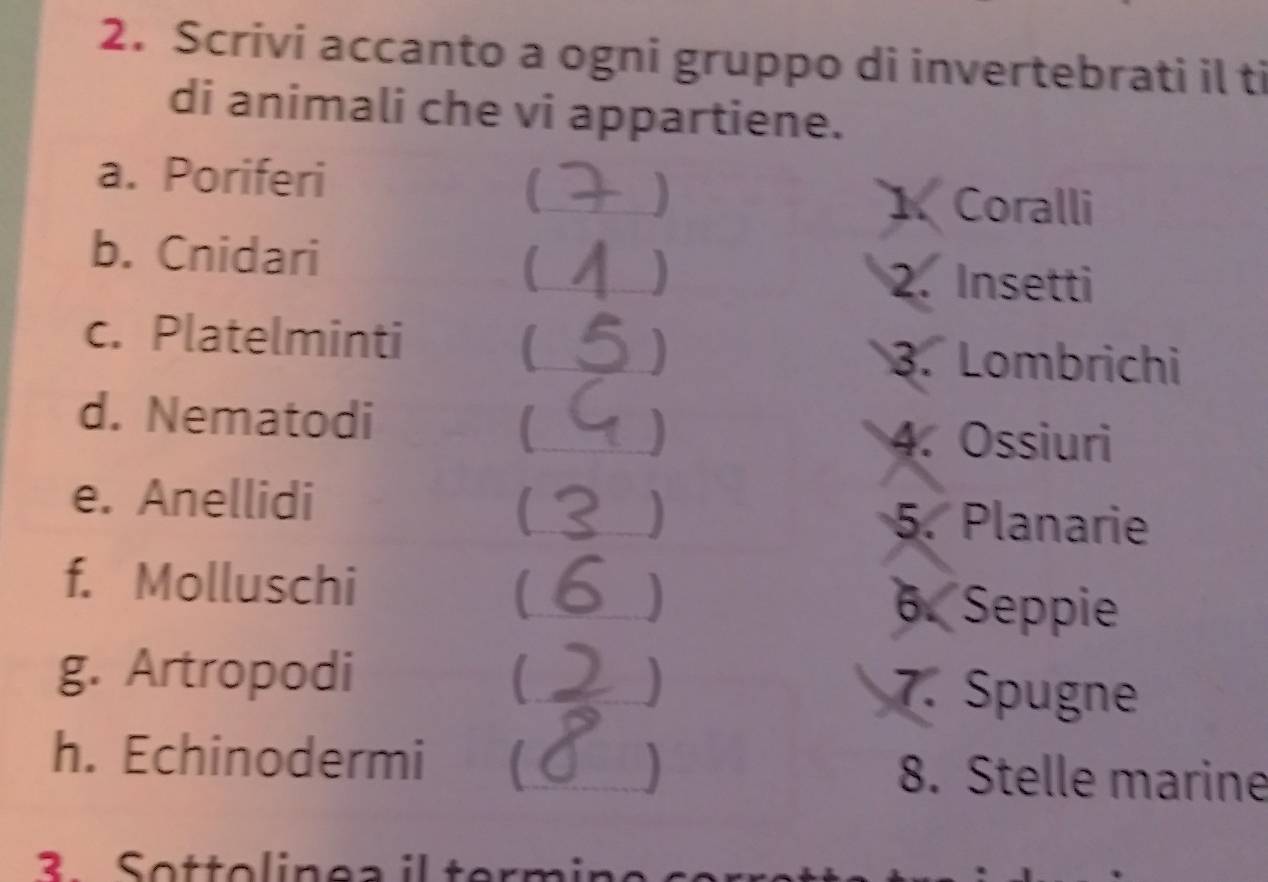 Scrivi accanto a ogni gruppo di invertebrati il ti 
di animali che vi appartiene. 
a. Poriferi 
3 
1 Coralli 
b. Cnidari 
 ) 
2. Insetti 
c. Platelminti  ) 3. Lombrichi 
d. Nematodi ( ) 4. Ossiuri 
e. Anellidi 5. Planarie 
) 
f. Molluschi 6. Seppie 
g. Artropodi ) 7. Spugne 
) 
h. Echinodermi 8. Stelle marine