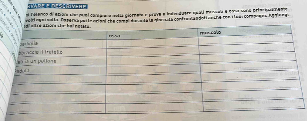 RVARE E DESCRIVERE 
ţi l’elenco di azioni che puoi compiere nella giornata e prova a individuare quali muscoli e ossa sono principalmente 
volti ogni volta. Osserva poi le azioni che compi durante la giornata confrontandoti anche con i tuoi compagni. Aggiungi 
: