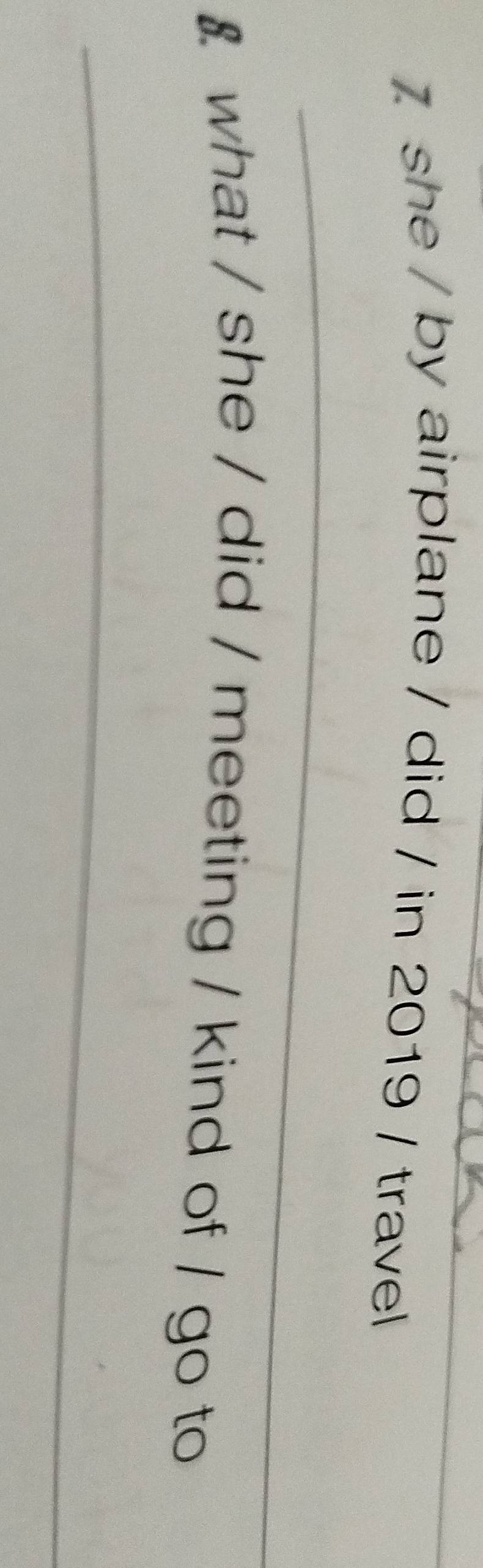 she / by airplane / did / in 2019 / travel 
_ 
. what / she / did / meeting / kind of / go to 
_