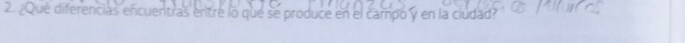 ¿Que diferencias encuentras entre lo que se produce en el campo y en la ciudad?