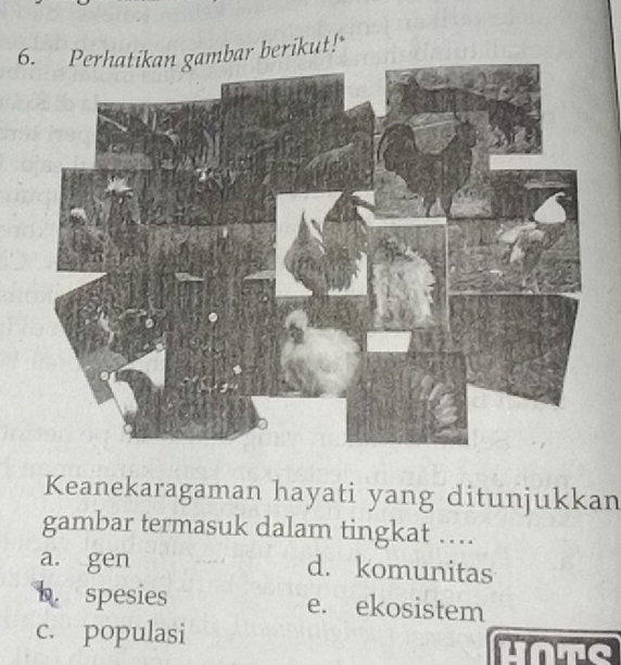 Perhatikan gambar berikut!"
Keanekaragaman hayati yang ditunjukkan
gambar termasuk dalam tingkat …
a. gen d. komunitas
b. spesies e. ekosistem
c. populasi HOTS