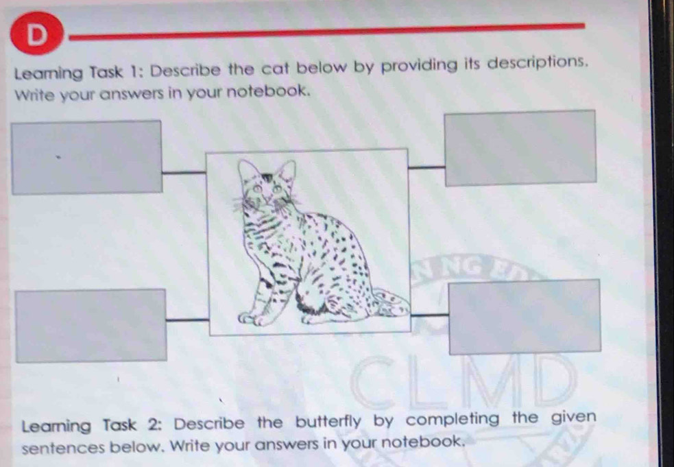 Leaming Task 1: Describe the cat below by providing its descriptions. 
Write your answers in your notebook. 
Learning Task 2: Describe the butterfly by completing the given 
sentences below. Write your answers in your notebook.