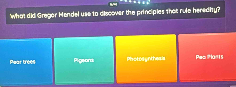 What did Gregor Mendel use to discover the principles that rule heredity?
Pear trees Pigeons Photosynthesis Pea Plants