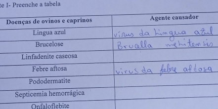 te I- Preenche a tabela 
Onfaloflebite