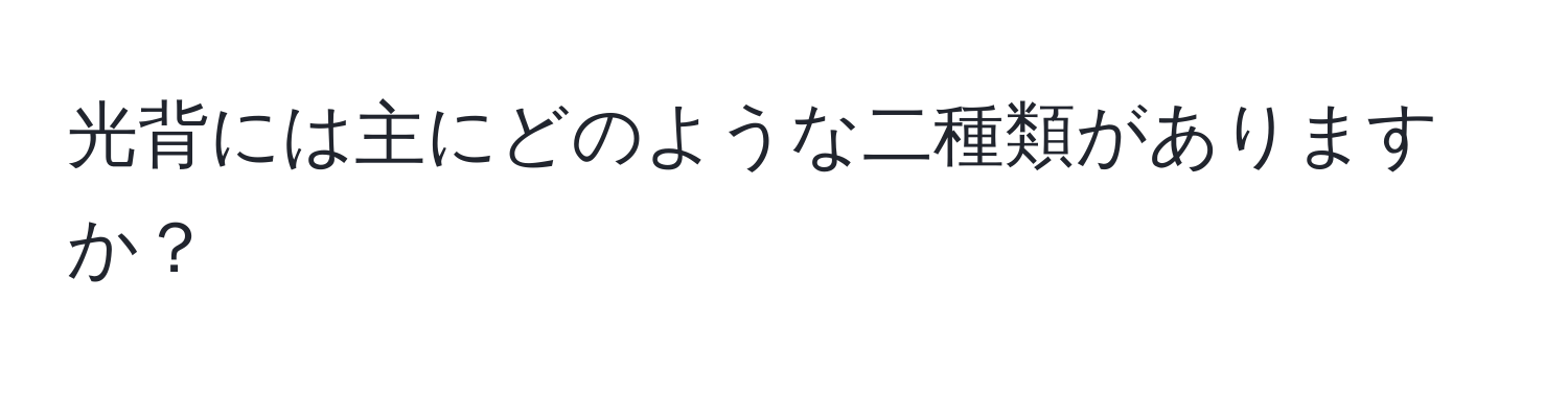 光背には主にどのような二種類がありますか？