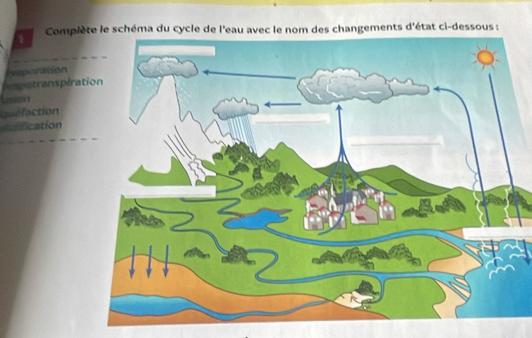 Complète le schéma du cycle de l'eau avec le nom des changements d'état ci-dessous : 
1 
eaporation 
Ieagotranspiration 
usian 
Quefaction 
dification