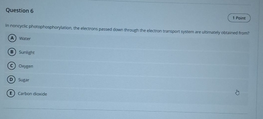 Paint
In noncyclic photophosphorylation, the electrons passed down through the electron transport system are ultimately obtained from?
A) Water
B Sunlight
cOxygen
D Sugar
E Carbon dioxide