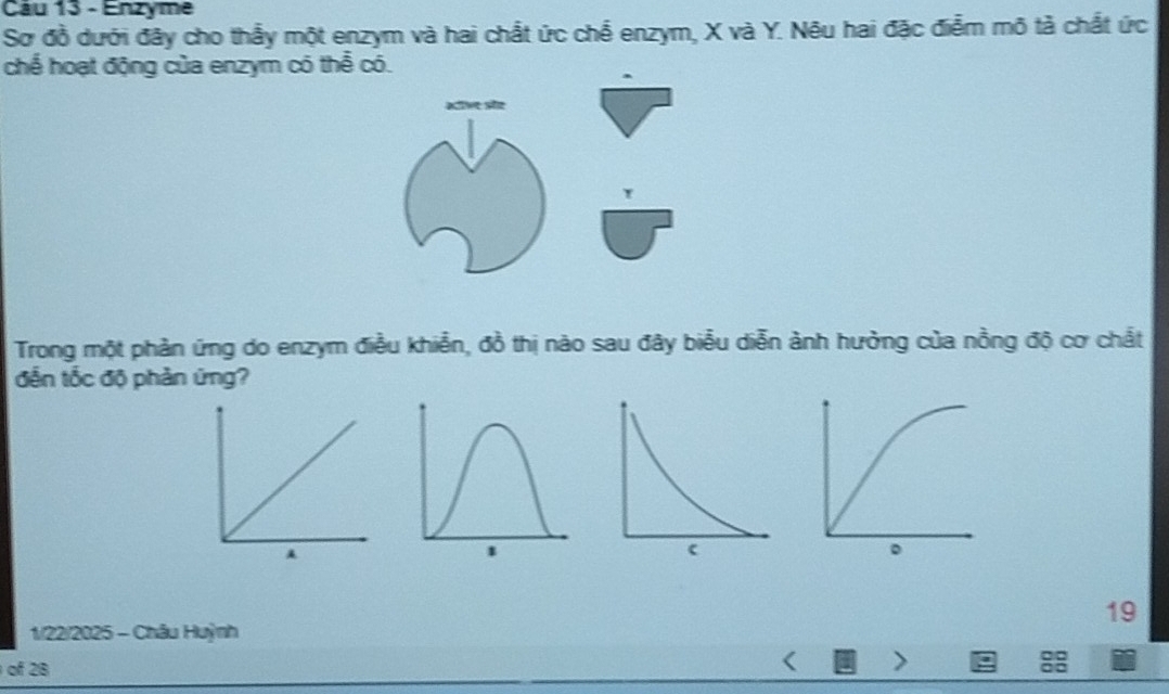 Enzyme 
Sơ đồ dưới đây cho thấy một enzym và hai chất ức chế enzym, X và Y. Nêu hai đặc điểm mô tả chất ức 
chế hoạt động của enzym có thể có. 
मल₹ और 
Trong một phản ứng do enzym điều khiễn, đồ thị nào sau đây biểu diễn ành hưởng của nồng độ cơ chất 
đến tốc độ phản ứng? 
19 
1/22/2025 - Châu Huỳnh 
of 28