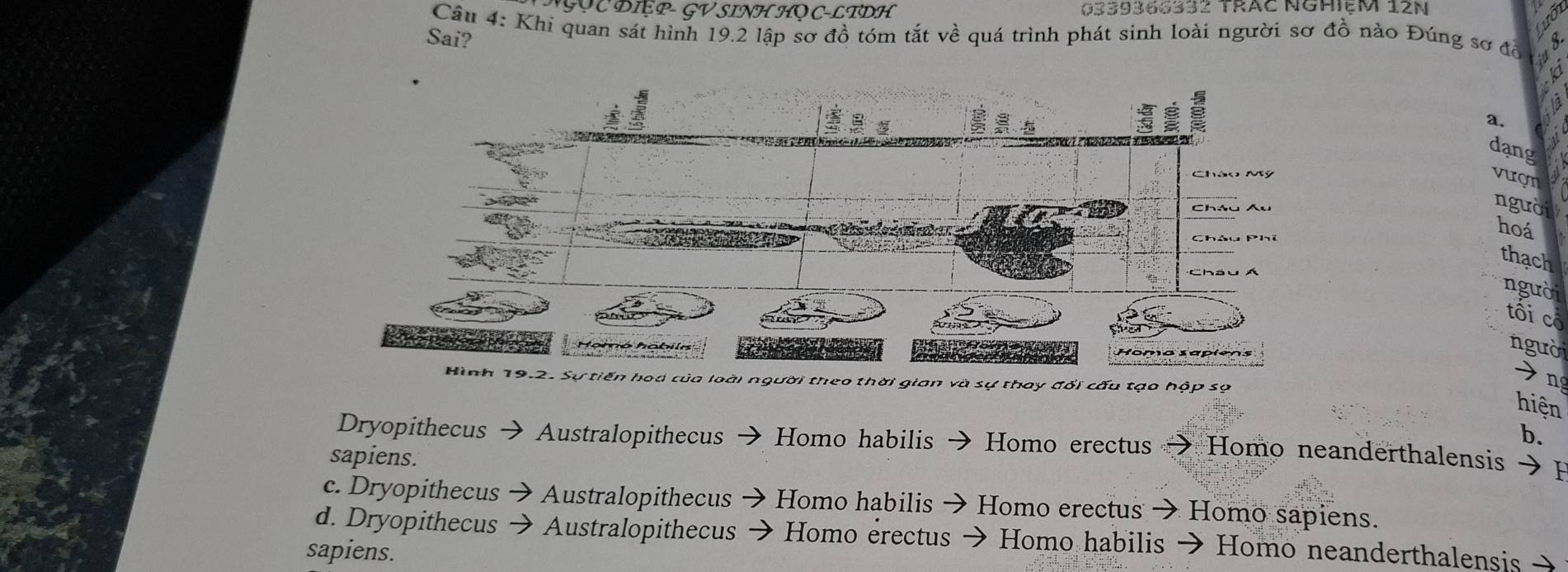 GOC DIệP- GV SINH HOC-LTDH 0339366332 trác nghiệm 12n
Câu 4: Khi quan sát hình 19.2 lập sơ đồ tóm tắt về quá trình phát sinh loài người sơ đồ nào Đúng sơ đồn 3
Sai?
a
a.
dang
vượn
người
hoá
thạch
người
tối cổ
người
Hình 19.2. Sự tiến hod của loài người theo thời gian và sự thay đổi cấu tạo hộp sợ
n
hiện
b.
Dryopithecus Australopithecus Homo habilis Homo erectus Homo neanderthalensis → F
sapiens.
c. Dryopithecus Australopithecus Homo habilis - → Homo erectus → Homo sapiens.
d. Dryopithecus Australopithecus Homo erectus → Homo habilis → Homo neanderthalensis →
sapiens.