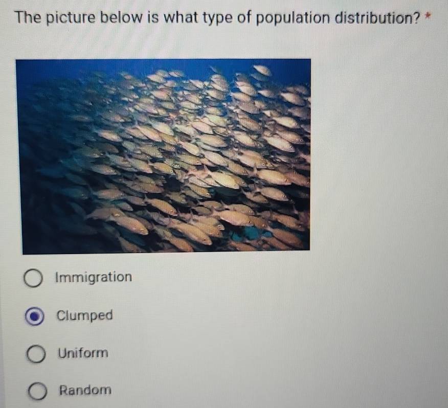 The picture below is what type of population distribution? *
Immigration
Clumped
Uniform
Random