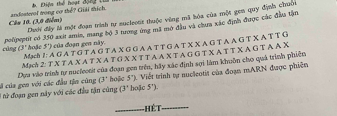 Điện thể hoạt động của 
andosterol trong cơ thể? Giải thích. 
Dưới đây là một đoạn trình tự nucleotit thuộc vùng mã hóa của một gen quy định chuôi 
Câu 10. (3,0 điểm) 
polipeptit có 350 axit amin, mang bộ 3 tương ứng mã mở đầu và chưa xác định được các đầu tận 
Mạch 1: A G A T G T A G T A X G G A A T T G A T X X A G T A A G T X A T T G 
cùng (3' hoặc 5') của đoạn gen này. 
Mạch 2: T X T A X A T X A T G X X T T A A X T A G G T X A T T X A G T A A X 
Dựa vào trình tự nucleotit của đoạn gen trên, hãy xác định sợi làm khuôn cho quá trình phiên 
ã của gen với các đầu tận cùng ( 3' hoặc 5^,). Viết trình tự nucleotit của đoạn mARN được phiên 
1 từ đoạn gen này với các đầu tận cùng (3^, hoặc 5^,). 
_hét_