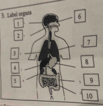 Label organs